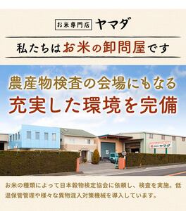 【令和7年産含む】 近江ブレンド米 20kg 愛荘町産 白米 精米 米 お米 単一原料米 ブランド米 銘柄米 国産 ご飯 白飯 ゴハン 食品 支援 支援品 生活支援 生活応援 送料無料 AY003