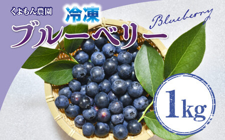 くよもん農園 冷凍ブルーベリー 1kg【人気の返礼品】AG01 | 滋賀県愛荘