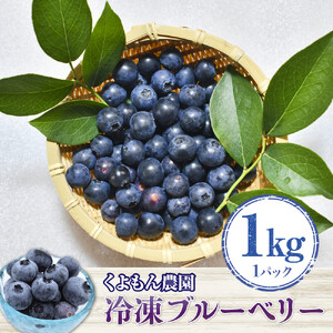 くよもん農園 冷凍 ブルーベリー 1kg　AG01