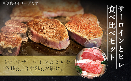 近江牛 サーロイン ブロック ＆  ヒレ ブロック 各1kg 合計2kg　牛肉 和牛 黒毛和牛 国産　AI18