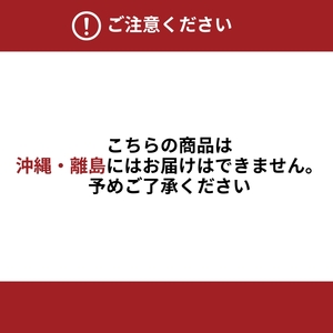 アキレス 高反発 マットレス S（シングル） エンジ 4つ折り 日本製 130N かため 厚さ4cm【寝具・マットレス・高反発・四つ折り・硬め】