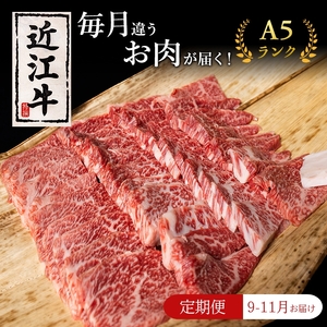 【肉の千石屋】【定期便:9～11月お届け】3ヶ月連続お届け近江牛 A5ランク 毎月違うお肉が届く！お肉の定期便 肉 近江牛 牛肉 カルビ モモ 肩ロース ウデ 焼肉 サーロイン 和牛 国産 滋賀県