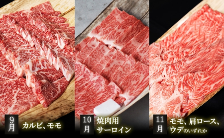 【肉の千石屋】【定期便:9～11月お届け】3ヶ月連続お届け近江牛 A5ランク 毎月違うお肉が届く！お肉の定期便 肉 近江牛 牛肉 カルビ モモ 肩ロース ウデ 焼肉 サーロイン 和牛 国産 滋賀県