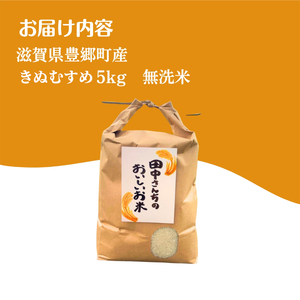 【12月~1月までの限定寄附額】 【最短7営業日以内で発送】田中さんちのおいしいお米 きぬむすめ5kg(無洗米) 令和7年産 スピード配送 CP1201