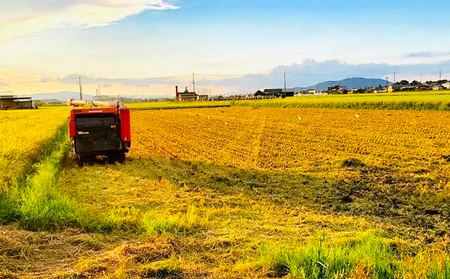 【12月~1月までの限定寄附額】 【3か月定期便】田中さんちのおいしいお米 令和7年産 ミルキークイーン 5kg 無洗米 CP1201