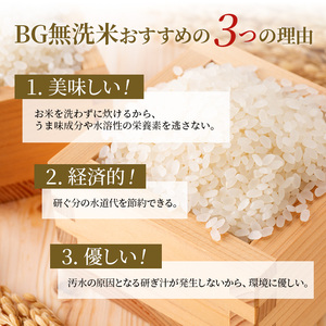 令和5年産ふるさと応援特別米みずかがみ（BG無洗米）5kg