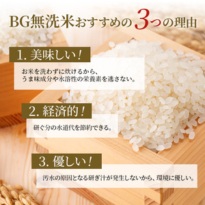 米 定期便 10ヶ月 みずかがみ BG無洗米 5kg  令和5年 ふるさと応援特別米 無洗米 お米 こめ コメ おこめ 白米 10回 お楽しみ