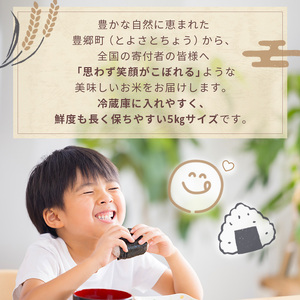 定期便 米 5kg×4ヶ月 コシヒカリ 豊かな郷の近江米 令和7年産