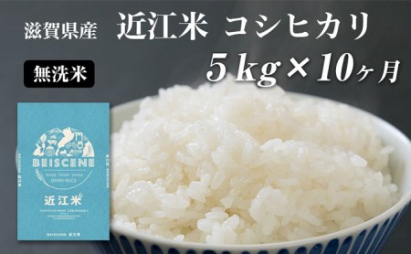 【定期便】令和6年産新米　滋賀県豊郷町産　近江米 コシヒカリ　無洗米　5kg ×10ヶ月