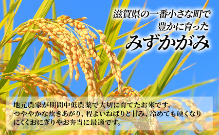 【12月～1月までの限定寄附額】 定期便 5kg 10ヶ月 みずかがみ 無洗米 令和7年産 近江米