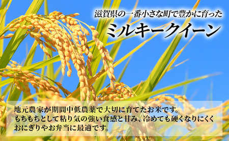 お米 5kg ミルキークイーン 無洗米 令和7年産 滋賀県 豊郷町産 近江米 米 こめ コメ