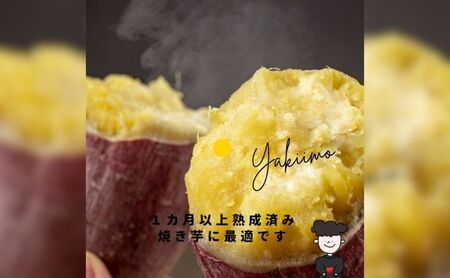 熟成 シルクスイート（生芋）S～2Lサイズ 5kg さつまいも