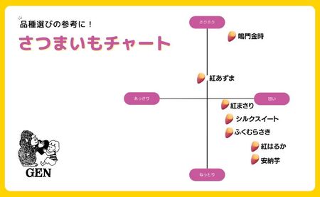 熟成 シルクスイート（生芋）S～2Lサイズ 5kg さつまいも