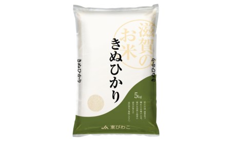 令和5年産甲良米「キヌヒカリ」白米 5kg お米 こめ コメ おこめ 白米 キヌヒカリ