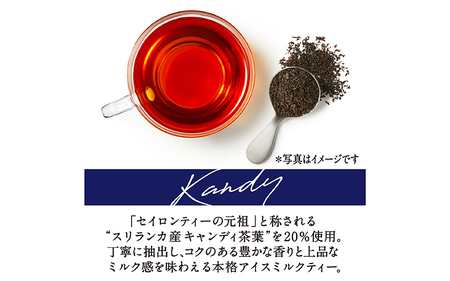  【定期便】【毎月6回】キリン 午後の紅茶ミルクティー 500ml × 24本 × 6ヶ月
