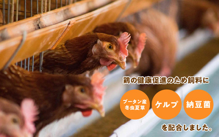 特許取得 C12卵 10個入り3パックギフト(25個 ＋ 卵割れ補償 5個)