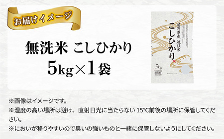 【令和7年産】BG無洗米 コシヒカリ 5kg [A-00401]   こしひかり