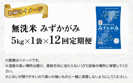 【令和７年産新米 毎月定期配送・計12回】 BG無洗米みずかがみ5kg×12回 [P-00403] / 無洗米