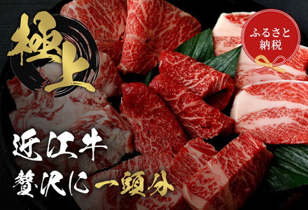 【和牛セレブ】近江牛1頭分買い（24分割配送）