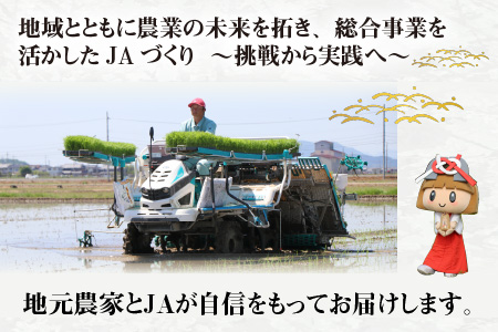 令和5年産】キヌヒカリ20kg（5kg × 4袋） おいしい多賀のお米 | 滋賀県