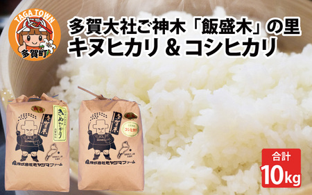 受付終了】【令和5年産】多賀大社ご神木「飯盛木（いもろぎ）」の里で