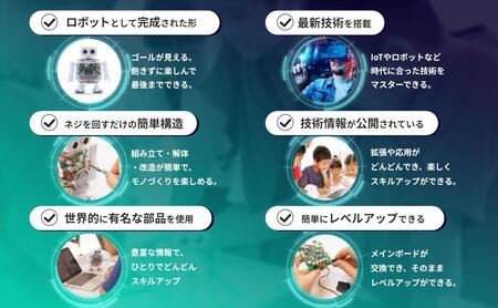 【CRETARIA】クムクム エントリーモデル QX-001R3J