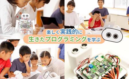 【CRETARIA】クムクム プロモデル QX-001R321J