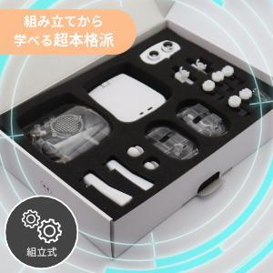 【CRETARIA】クムクム プロモデル QX-001R321J