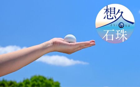 【山川製陶所】想久の石珠　石珠のみ（新しいペット供養のカタチ）