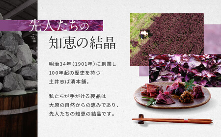 【土井志ば漬本舗】大原の里京漬物10種12点詰め合わせ W-30｜京都 漬物 有名店 人気セット