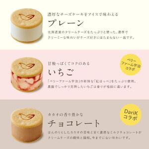 【ソラアオ】アイスチーズケーキサンド 1箱 6個入り | 京都 チーズケーキ専門店 人気セット