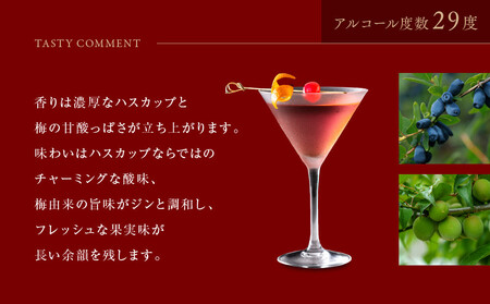 【京都蒸溜所】季の梅 京都プラムアンドベリーリキュール 700ml×1本|プレミアム クラフトジン スピリッツ 人気セット