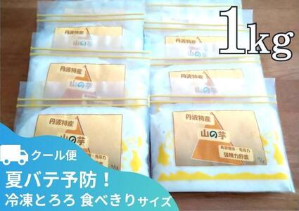 【芋家なか吉】丹波山の芋すりおろし 冷凍 とろろ１kg (10パック) ［ 京都 芋 いも イモ 便利 小分け 新鮮 人気 おすすめ お取り寄せ 通販 ふるさと納税 ］