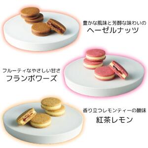 【期間限定】ザ・スウィーツ ショコラサンド(18個) ｜シャディ スイーツブランド 人気セット スイーツ