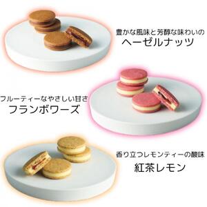 【ギフト包装対応】【期間限定】ザ・スウィーツ ショコラサンド(10個) ｜シャディ スイーツブランド 人気セット スイーツ