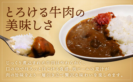 【黄桜】京都麦酒地ビールカレー（200ｇ×10個）| レトルト カレー 人気