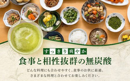 【タカラ】宝焼酎の濃いお茶割り~カテキン2倍~(335ml×24本) |京都 酎ハイ サワー 人気セット 酎ハイ