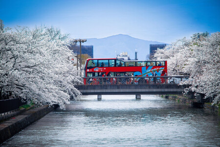 「乗り降り自由！京都の主要な観光地を巡る周遊パス」スカイホップバス（Sky Hop Bus）小人2日券