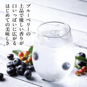【わかさ生活】ブルーベリードライジン「Berry&Berry」700ml×1本 アルコール度数45度［ 京都 サプリ ブルーベリーアイ 売上No.1 人気 おすすめ お酒 酒 アルコール ジン 健康 お取り寄せ 通販 ふるさと納税 ］