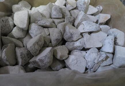 《先行予約》【芋家なか吉】後は植えるだけ カット種芋 1.5kg 丹波山の芋［ 京都 芋 いも イモ 新鮮 野菜 栽培 人気 おすすめ お取り寄せ 通販 ふるさと納税 ］