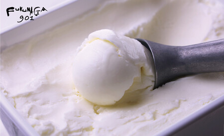 【FUKUNAGA901】バルクアイス ヨーグルト(たっぷり2L入り)｜京都 フクナガ スイーツブランド 人気店 大容量 スイーツ