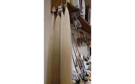 【高島屋選定品】〈Liuteria-TAKADA〉マエストロリュータイオによる弦楽器のためのメンテナンスチケット1万円分