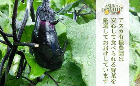 〈12ヶ月定期便〉【アスカ有機農園】旬のこだわり京野菜セットS