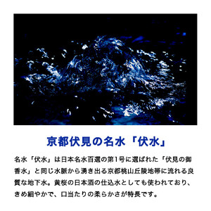 【黄桜】伏水スパークリング (500ml×12本入) 