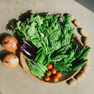 ◆全6回定期便◆【つくだ農園】《有機JAS認証 有機野菜10品入り》京都の棚田大原で心を込めて大切に露地栽培された大地の恵みたっぷりの有機野菜!［ 京都 有機野菜 定期便 セット 人気 おすすめ 有機栽培 おまかせ 詰め合わせ 産地直送 新鮮 ミシュラン お取り寄せ 通販 送料無料 ふるさと納税 ］