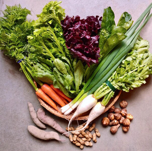 ◆全6回定期便◆【つくだ農園】《有機JAS認証 有機野菜10品入り》京都の棚田大原で心を込めて大切に露地栽培された大地の恵みたっぷりの有機野菜!［ 京都 有機野菜 定期便 セット 人気 おすすめ 有機栽培 おまかせ 詰め合わせ 産地直送 新鮮 ミシュラン お取り寄せ 通販 送料無料 ふるさと納税 ］