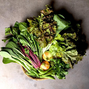 ◆全4回定期便◆【つくだ農園】《有機JAS認証 有機野菜10品入り》京都の棚田大原で心を込めて大切に露地栽培された大地の恵みたっぷりの有機野菜!［ 京都 有機野菜 定期便 セット 人気 おすすめ 有機栽培 おまかせ 詰め合わせ 産地直送 新鮮 ミシュラン お取り寄せ 通販 送料無料 ふるさと納税 ］