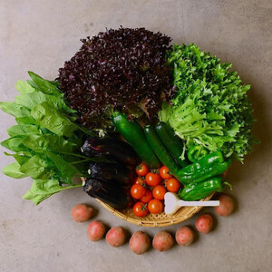 ◆全4回定期便◆【つくだ農園】《有機JAS認証 有機野菜10品入り》京都の棚田大原で心を込めて大切に露地栽培された大地の恵みたっぷりの有機野菜!［ 京都 有機野菜 定期便 セット 人気 おすすめ 有機栽培 おまかせ 詰め合わせ 産地直送 新鮮 ミシュラン お取り寄せ 通販 送料無料 ふるさと納税 ］