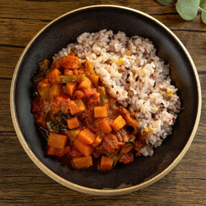 【Organic Vege Annex】無農薬野菜のトマトカレー冷凍10パックセット［ 京都 上賀茂 八百屋 オーガニック ヴィーガン vegan 野菜  こだわりのお惣菜 おいしい 人気 おすすめ アネックス べジ お取り寄せ 通販 送料無料 ふるさと納税 ］