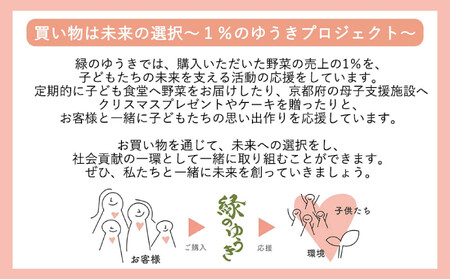 【緑のゆうき】売上の1%を子どもたちの応援に 京都産大納言あずき茶 2袋